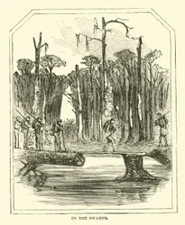 In the swamps, March 1863