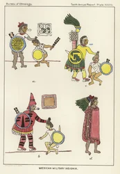 Mexican Military Insignia