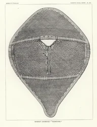 Nenenot Snowshoe - Round-End