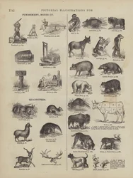 Page from Webster