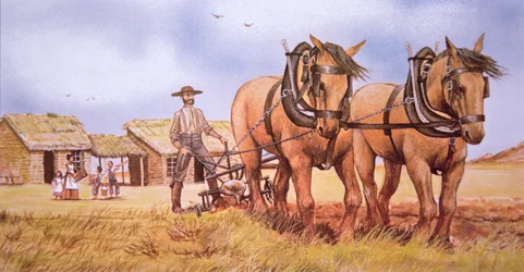 Pioneer farmer