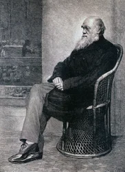 Portrait of Charles Darwin