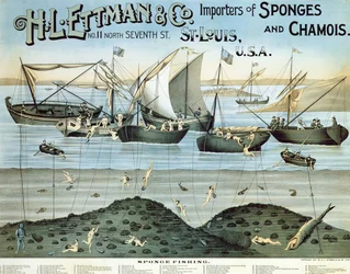 Poster advertising H.L. Ettman & Co., Importers of Sponges and Chamois, 1897