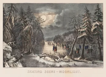Skating Scene - Moonlight
