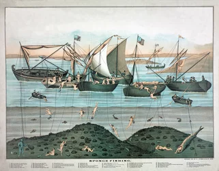 Sponge Fishing, pub. 1897