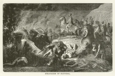 Stratagem of Hannibal