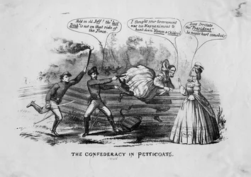 The Confederacy in petticoats