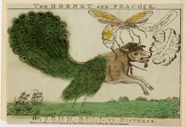 The Hornet and Peacock, or, John Bull in distress