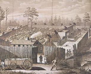 The Prisoner of War Camp at Andersonville