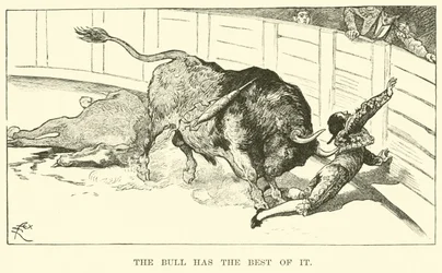 The bull has the best of it