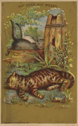 Three Weary Cats