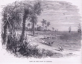 View of the coast of Florida, illustration from Cassell