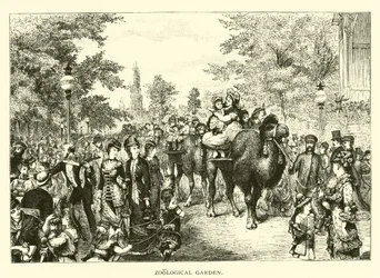 Zoological Garden