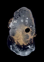 Abstract Gold Bubbles