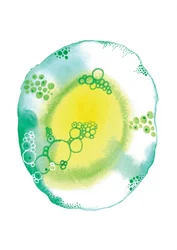 Organic Fluid Bubbles