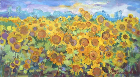 Golden Sunflower Field