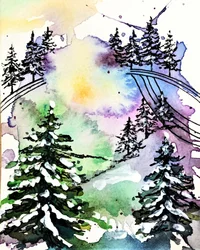 Colorful Winter Forest
