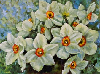 Daffodils In Bloom