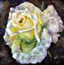 Fresh Dewy Rose