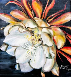 Queen Of The Night Bloom