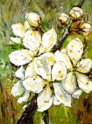 Spring White Blossoms