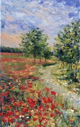 Vibrant Poppy Field