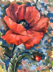 Vibrant Red Poppy