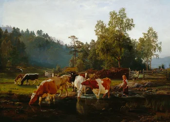 Cows by the River