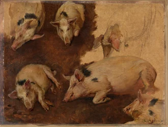 Study of Six Pigs