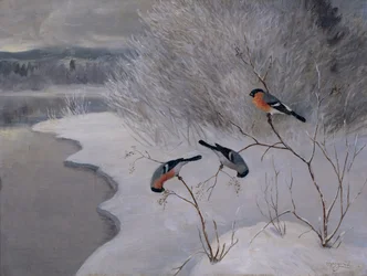 Bullfinches