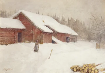 Snow Drift