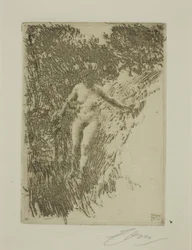 Brushwood
