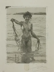 Seaweed