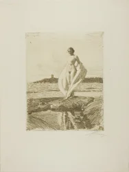 The Swan
