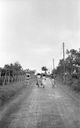 Bitter Grapes - Towards the Assigned Post