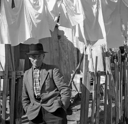 Crotone - Portrait of Man