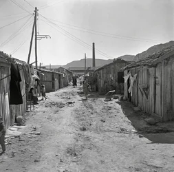 Working District