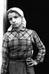 Young Girl Working as Olives Picker in Calabria, Italy, c.1955