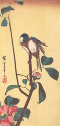 Camellia and Blue-Headed Bird, ca. 1833