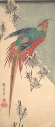 Golden Pheasant and Pine Shoots in Snow, ca. 1835