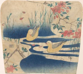 Hooded Gulls and Cherry Blossoms, probably 1850-62