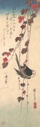 Long-tailed Tit on Autumn Ivy, ca. 1835.