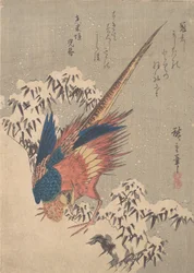 Pheasant Among Snow-laden Bamboo on Hillside