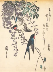 Swallow and Wisteria