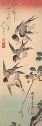 Swallows and Budding Wild Cherry