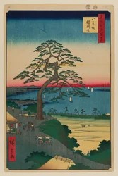 Armor-Hanging Pine, Hakkeisaka