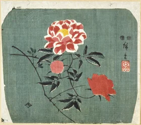 Fan Print: Rose