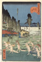 Fox-Fire At Oji (34)