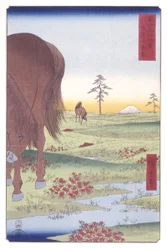 Kogane Plain In Shimosa Province