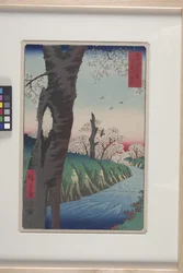 Koganei in Musashi Province